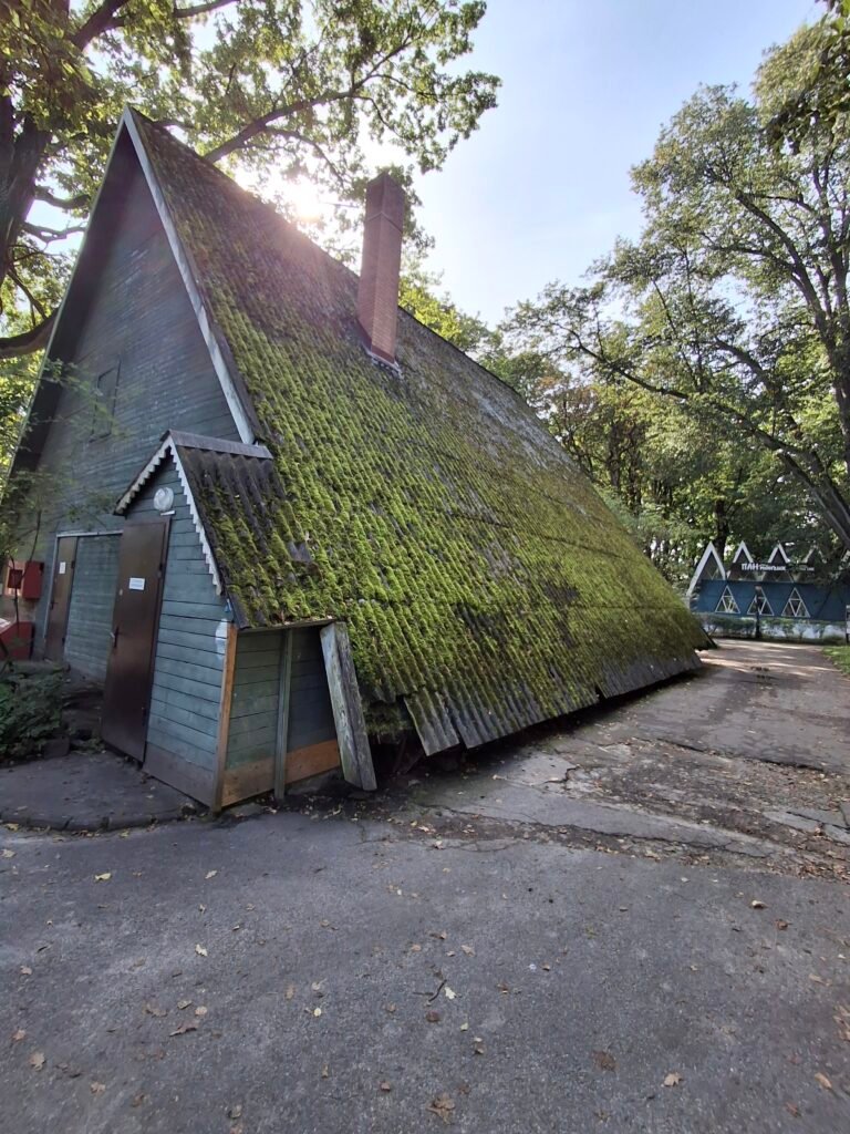 A wooden A-frame building with a steeply pitched, moss-covered roof and a brick chimney, among trees.
